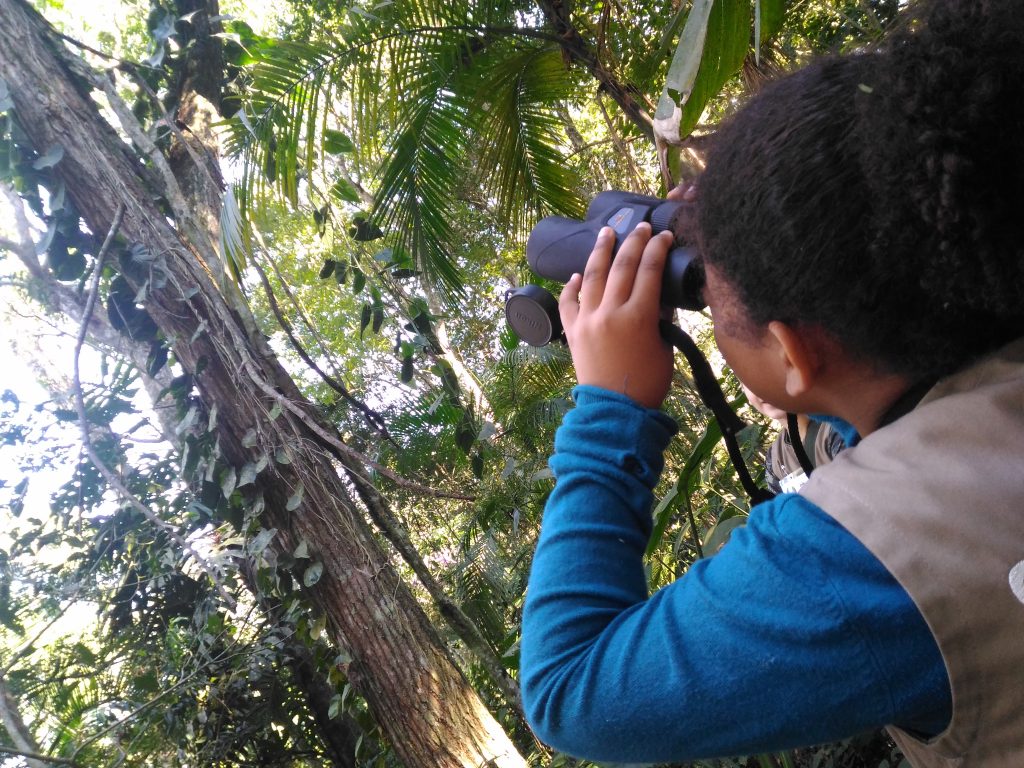 Uma criança vestindo um colete de explorador está usando binóculos para observar a vida selvagem em uma floresta densa, repleta de árvores altas e vegetação exuberante. A criança está de costas para a câmera, focada na observação, evidenciando uma atividade educativa ao ar livre, provavelmente parte de um programa de conscientização ambiental.