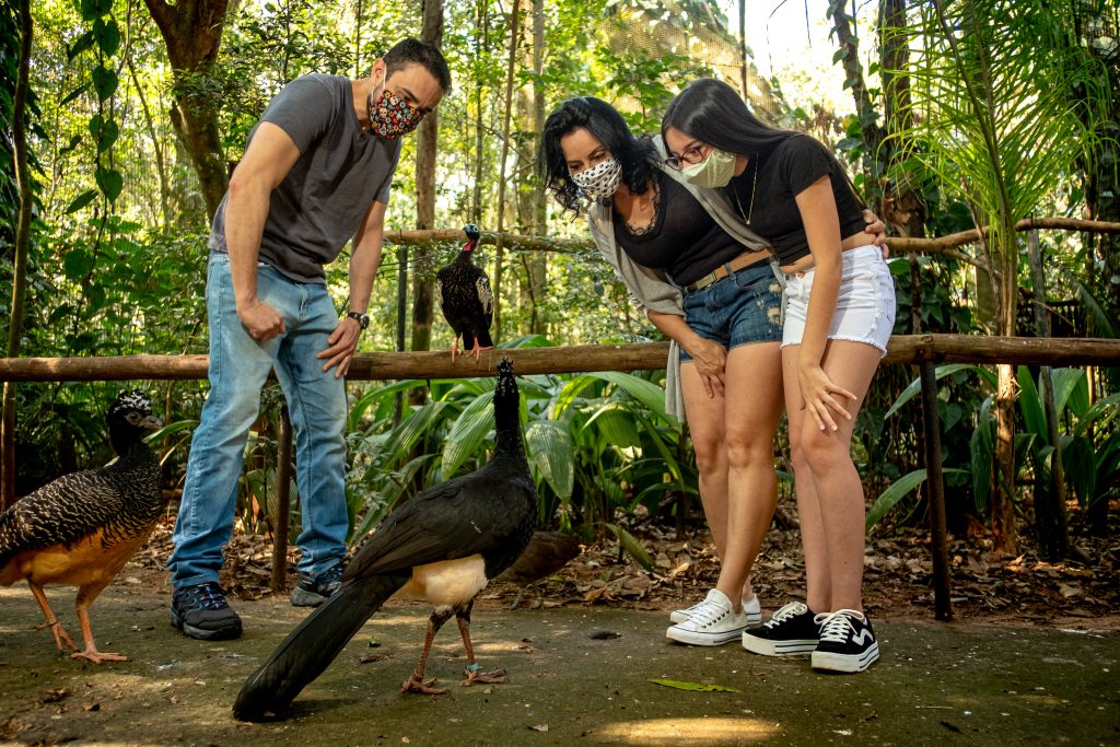 Passeios em Foz do Iguaçu, Dreams Park Show