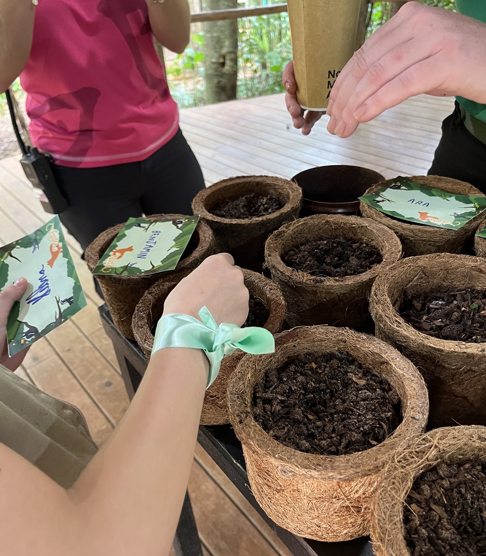 Crianças plantando sementes em vasos de fibra, com etiquetas personalizadas com seus nomes.