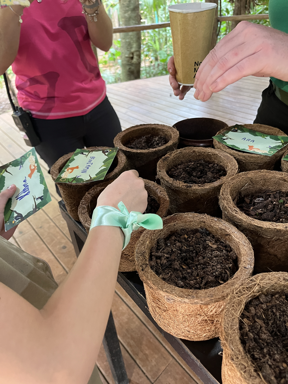 Mãos de crianças e adultos interagindo com pequenos vasos de fibra de coco necessários com terra, durante uma atividade educativa de plantio. Ao lado, cartões coloridos identificam-se como mudas com nomes. Uma pessoa veste uma camiseta rosa e outra segura um copo de papel reciclável.