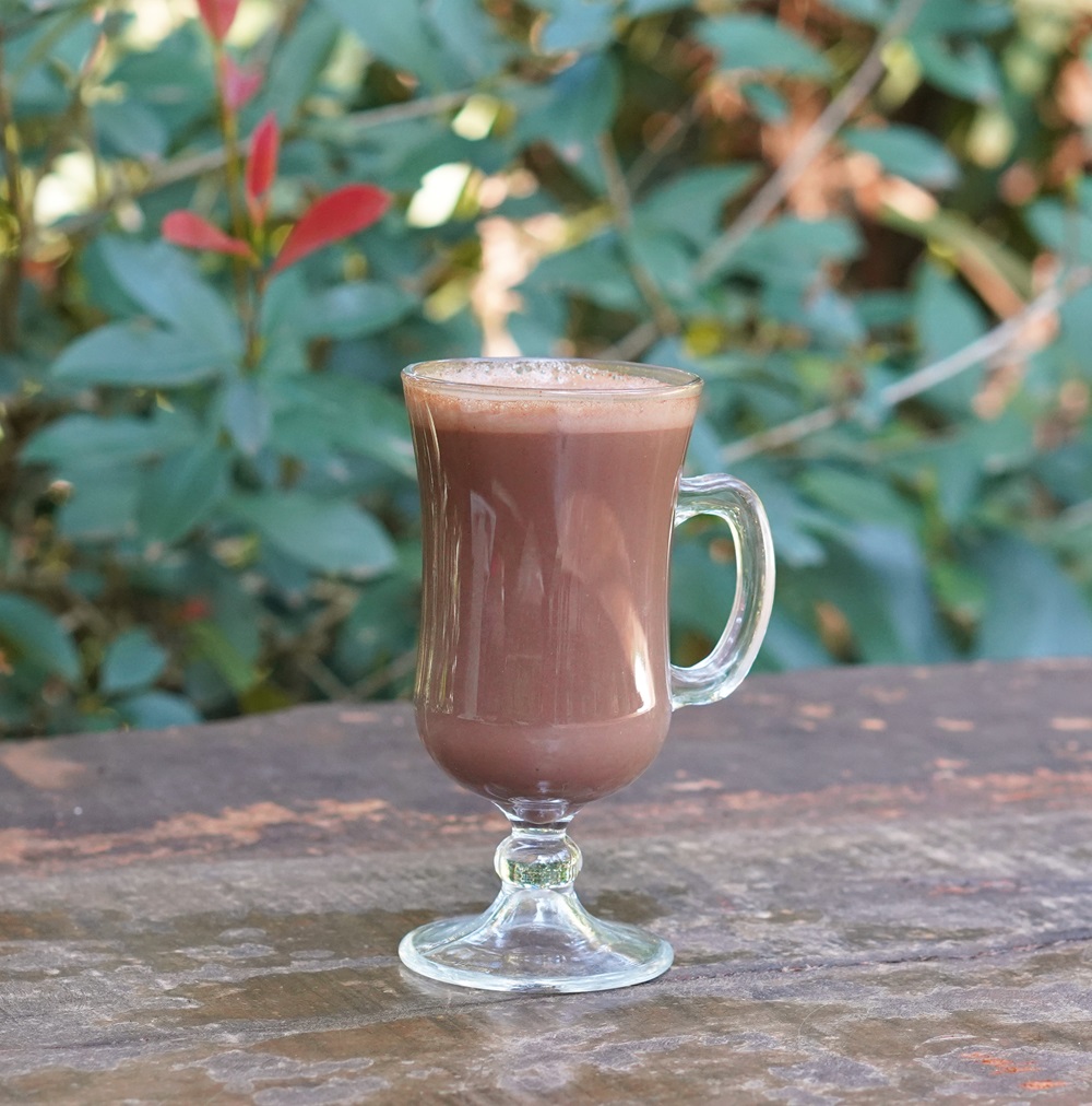 Copo de vidro com alça, cheio de chocolate quente cremoso, sobre uma mesa de madeira com folhas verdes ao fundo.