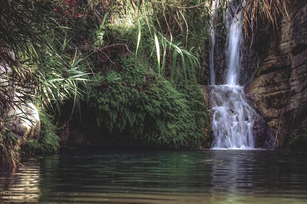 Uma cachoeira cercada por vegetação densa e exuberante, com água cristalina fluindo em um pequeno lago.