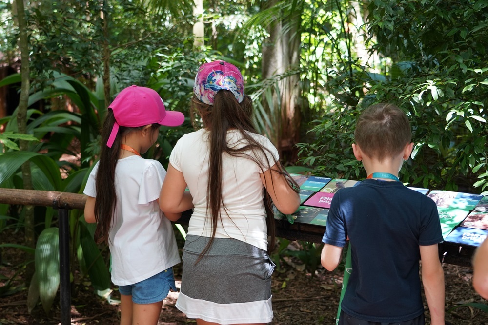 Veja como agendar uma visita educativa no Parque das Aves