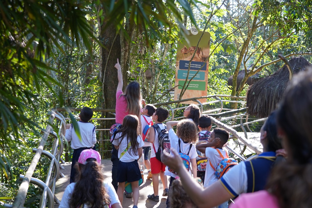 Educadora ambiental guiando um grupo de crianças durante visita educacional em uma passarela elevada cercada pela vegetação da Mata Atlântica. Ela aponta para cima, indicando algo interessante na paisagem.