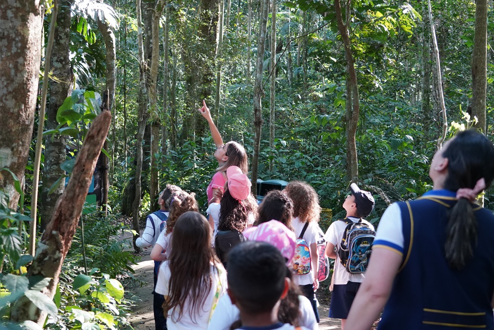 Educadora ambiental conduzindo um grupo de crianças durante uma visita educacional em uma trilha cercada por árvores da Mata Atlântica. Ela aponta para o alto, destacando um ponto de interesse na floresta.