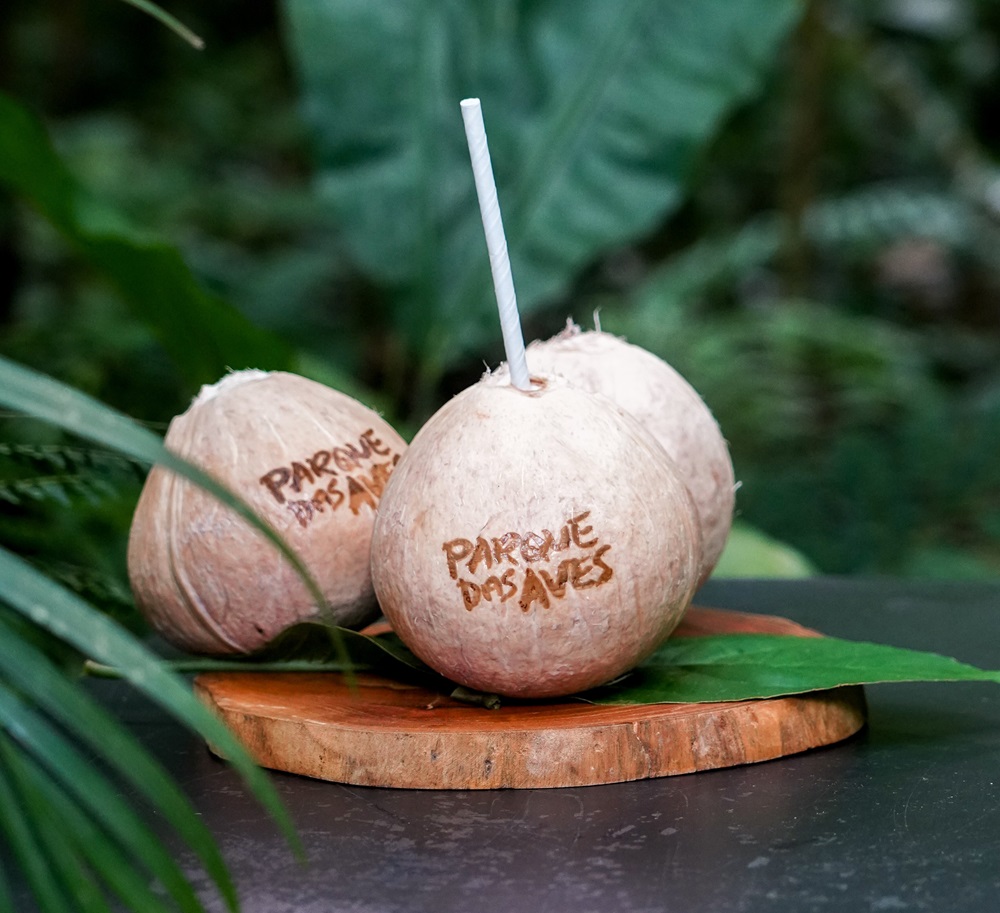 Três cocos jovens retratados sobre uma base de madeira com folhas verdes ao fundo. Um dos cocos possui um canudo inserido e está marcado com o logotipo "Parque das Aves". O cenário é rodeado por vegetação tropical.