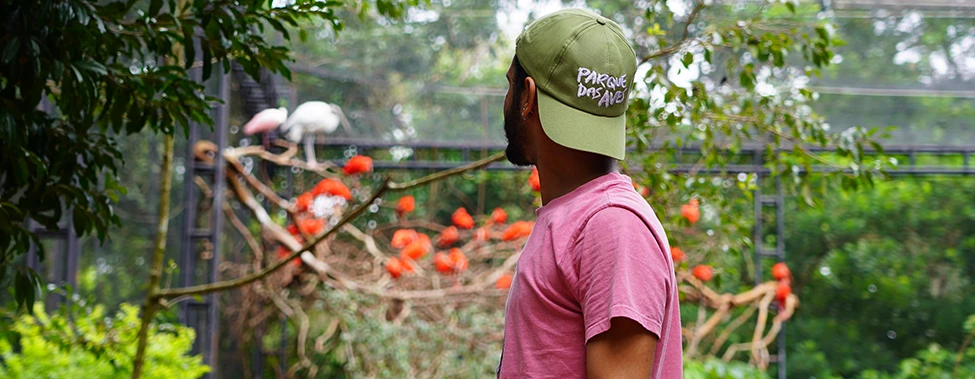 Parque das Aves registra números expressivos de visitantes no 96.103 pessoas passando por suas trilhas de visitação