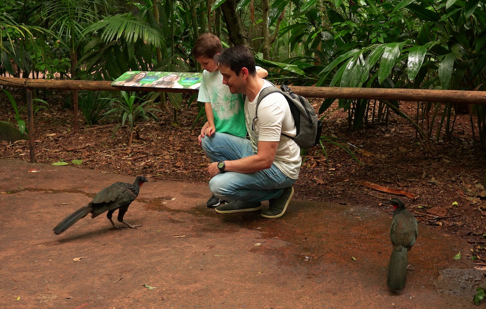 Papais ganham entrada gratuita no Parque das Aves no Dia dos Pais