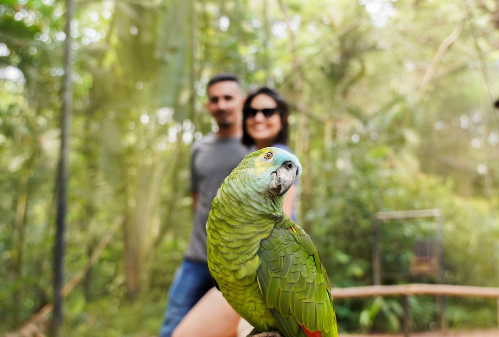 Parque das Aves bate recorde histórico de visitação em junho