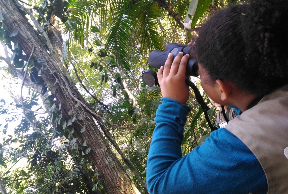 Parque das Aves abre inscrições para o Clubinho Guardiões da Mata Atlântica