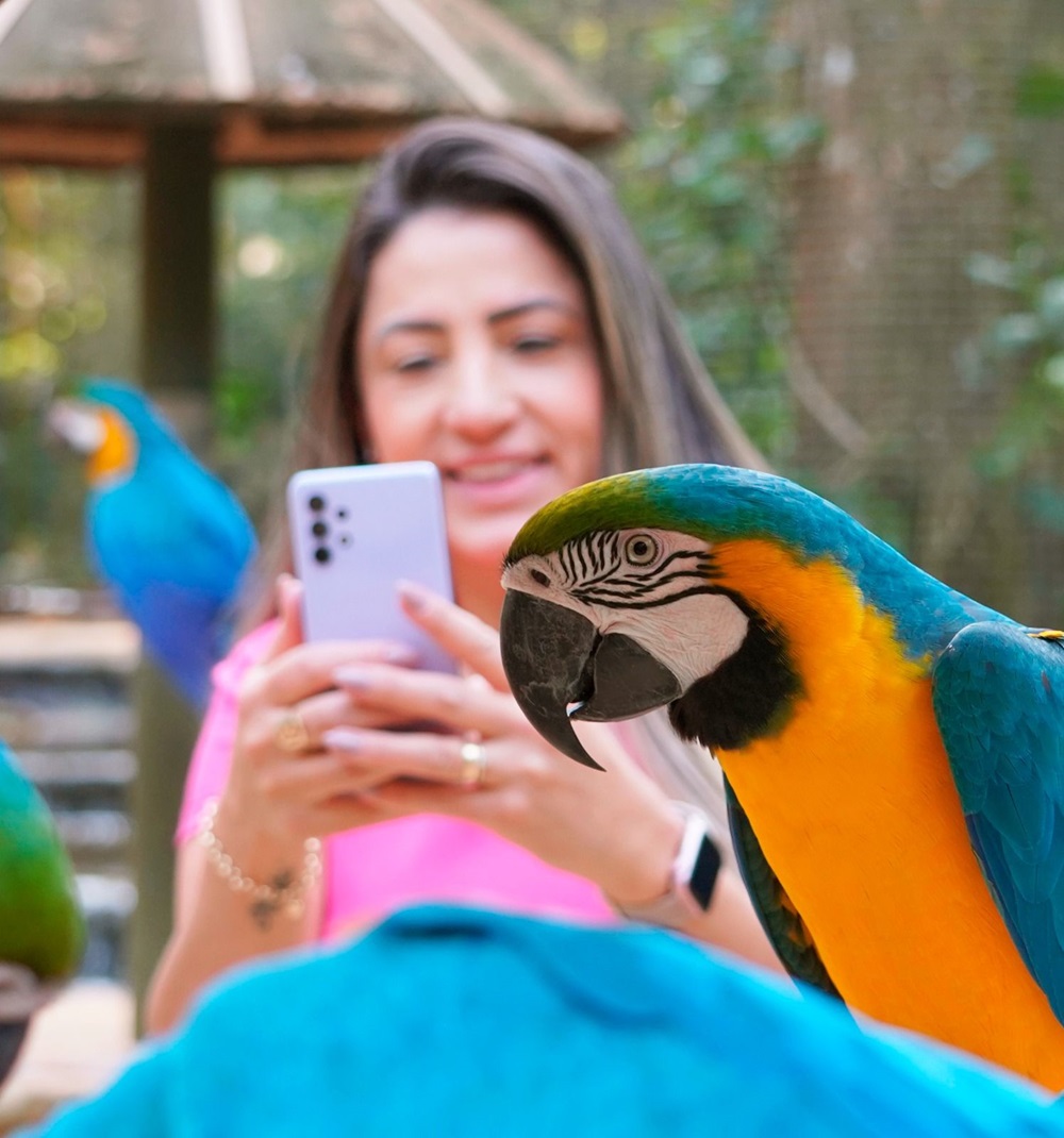 Uma mulher sorridente segura um celular enquanto fotografa uma arara azul e amarela em primeiro plano.