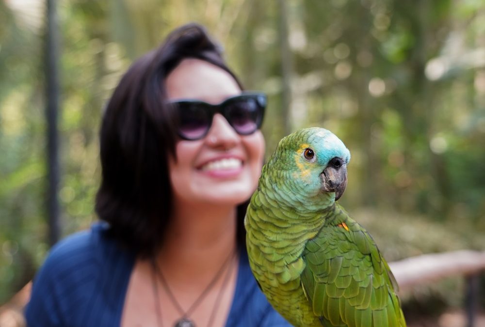 Parque das Aves oferece gratuidade em outubro aos moradores de Foz do Iguaçu para celebrar seu aniversário de 30 anos