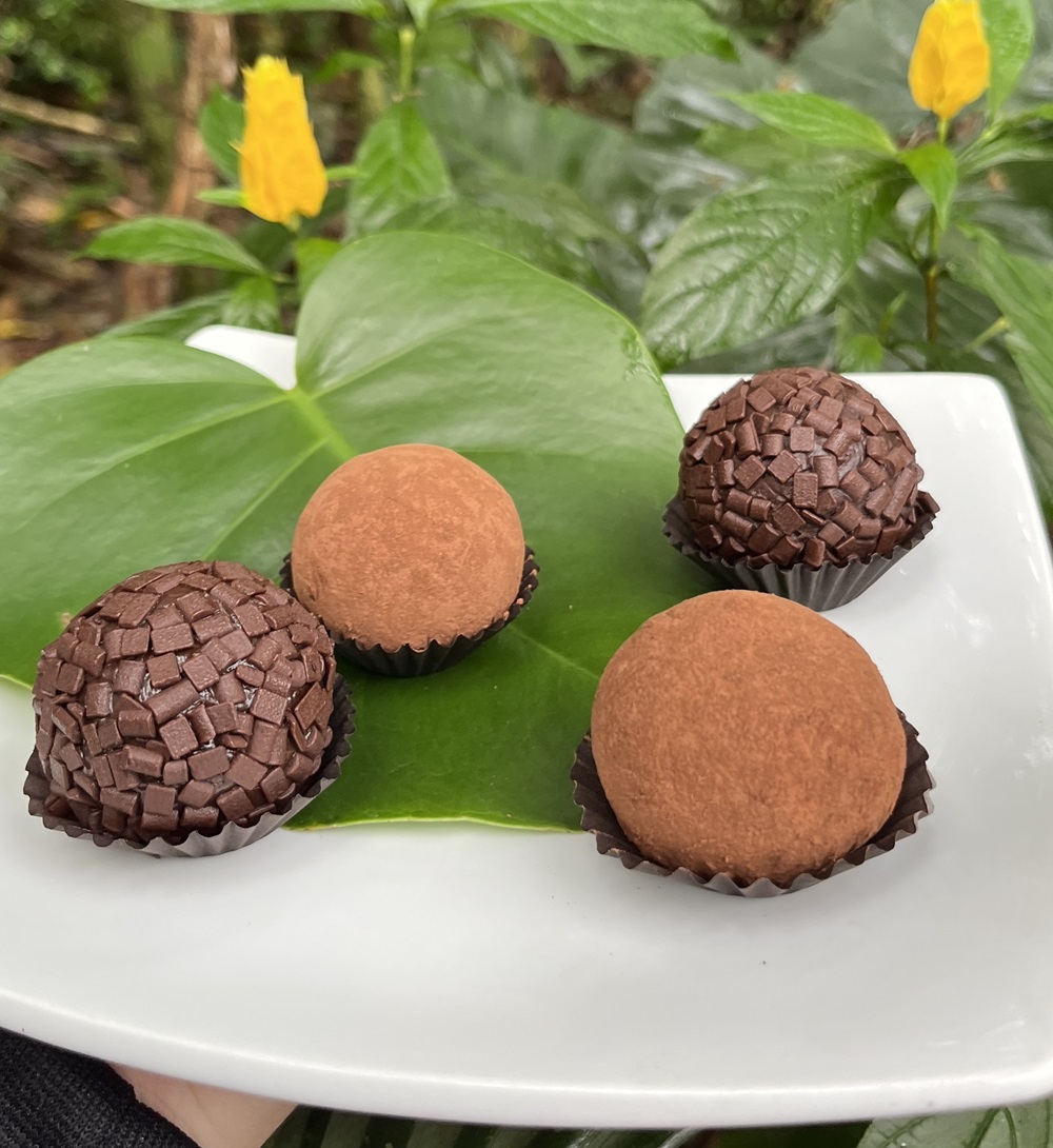 Dois brigadeiros veganos cobertos com granulado de chocolate ao lado de dois brigadeiros com cobertura de cacau em pó, dispostos sobre uma folha verde.