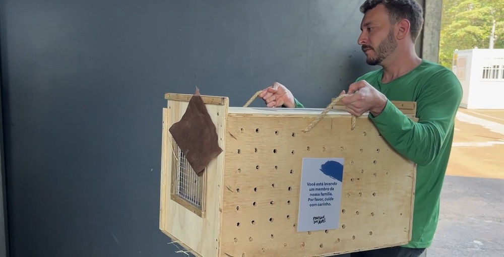  Um homem é visto cuidadosamente carregando uma caixa de transporte para aves. A caixa possui aberturas de ventilação e uma mensagem que diz: “Você está levando um membro da nossa família. Por favor, cuide com carinho.” O transporte cuidadoso faz parte dos esforços de conservação do Parque das Aves.