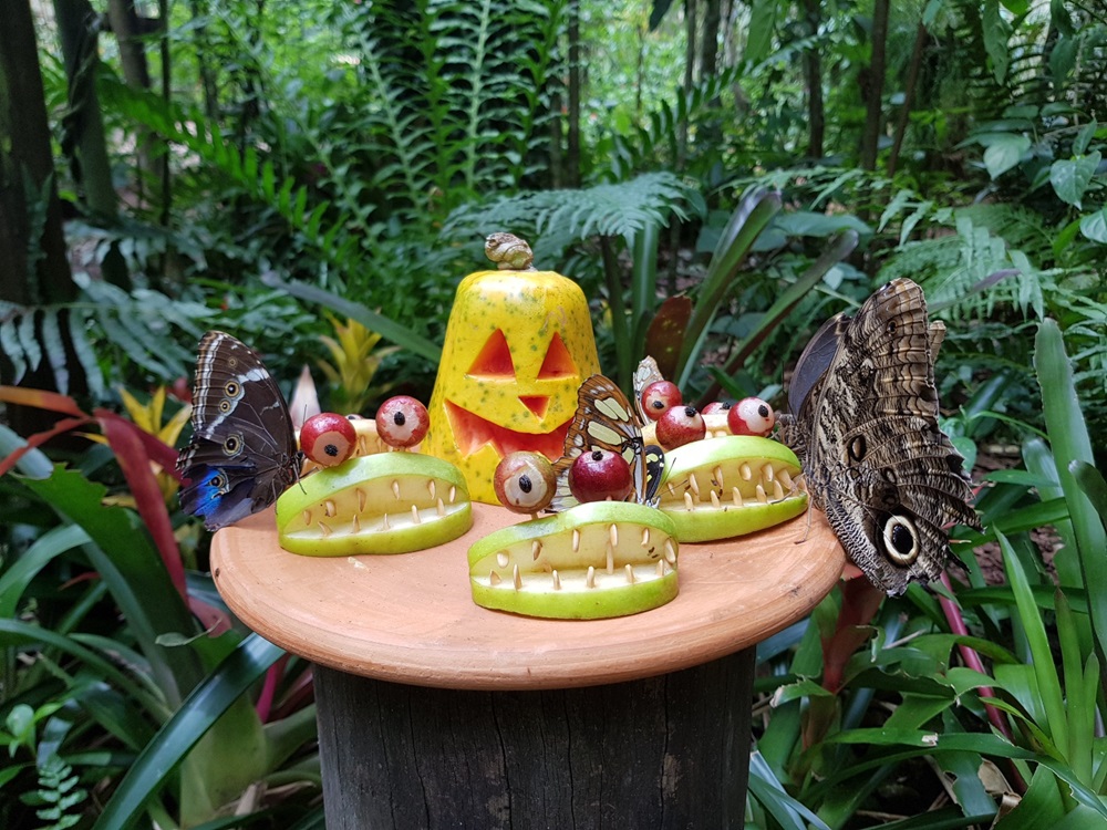 Um prato decorativo de Halloween feito com frutas e vegetais em formato de pequenos monstros e uma abóbora esculpida com rosto sorridente, atraindo borboletas no ambiente.