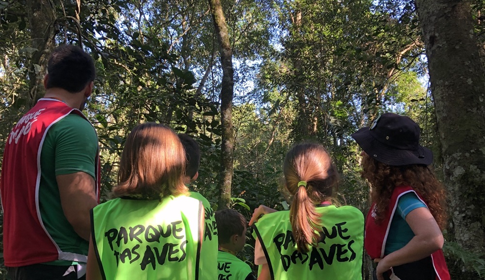 Crianças durante a colônia de férias acompanhadas por educadores ambientais durante uma atividade em meio à Mata Atlântica.